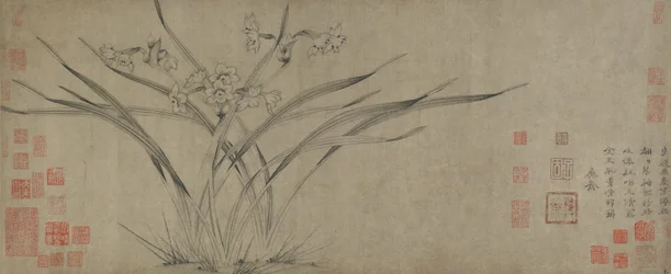 Narciso, dinastía Song