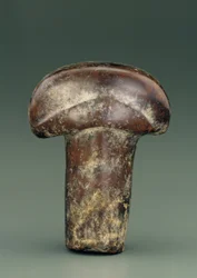 Objeto en forma de varilla ovalada coronada por un grueso pomo semicircular (serpentina)