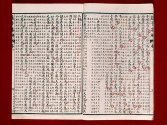 Página de un Libro de Poesía de Chuang-Tzu