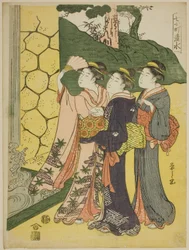 Kiyomizu, de la serie "Siete Komachi (Nana Komachi)"