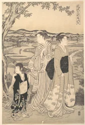 Komachi loro
