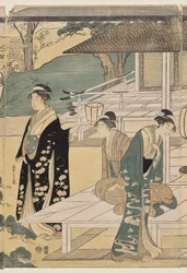El Capítulo Matsukaze del Cuento de Genji (de la serie El Cuento de Genji en Vestimenta Moderna Elegante)