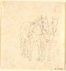 Un equipo de caballos