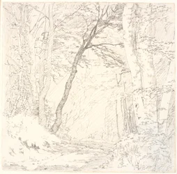 Camino a Través de un Bosque