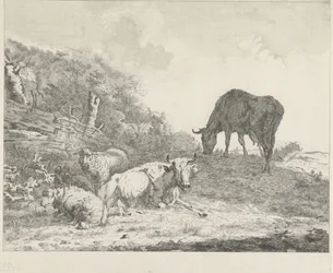 paisaje con ganado