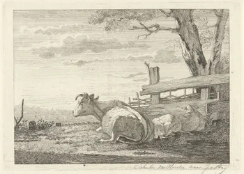 Descansando ganado en un paisaje