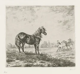 paisaje con tres caballos