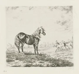 paisaje con tres caballos