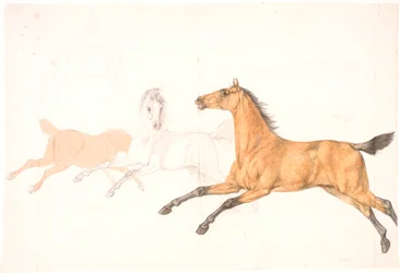 3 caballos corriendo