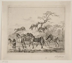 Caballos de establo
