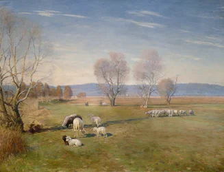 Paisaje con ovejas