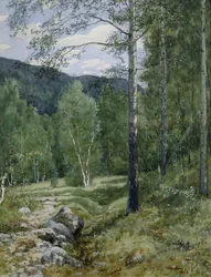 Primavera en el bosque (acuarela sobre papel)