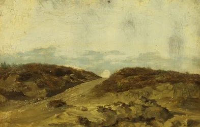 Camino del brezal