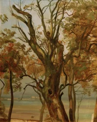 Estudio de árbol en otoño (Ribera del Elba cerca de Dresde)