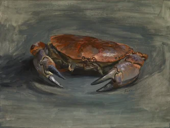 Cangrejo, 2018 (óleo sobre panel de madera gessoed)