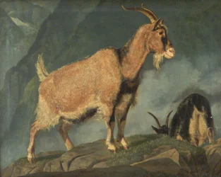 Cabras en los Alpes