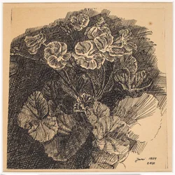 Flores