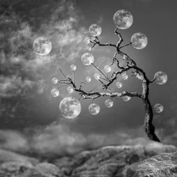 Árbol de la Luna de fantasía