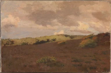 Paisaje de brezal. Otoño