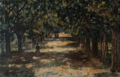 Avenida de castaños hacia Belvedere
