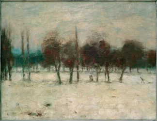 Árboles frutales en la nieve