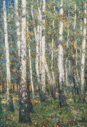 Interior del bosque