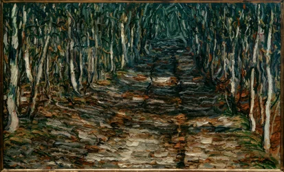 Camino forestal hacia Erling