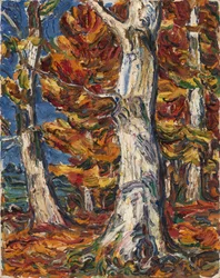 Hayas blancas en otoño