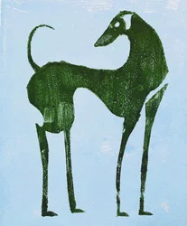 El elegante perro del desierto