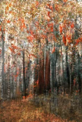 El resplandor del bosque en otoño