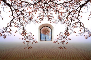 Arco otoñal de ensueño