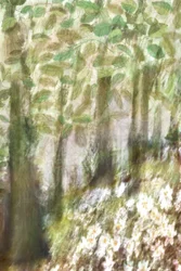 Flores de un bosque de ensueño