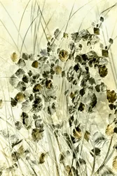 Formas botánicas etéreas