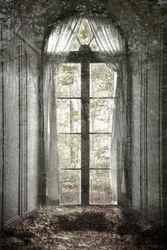 Ventana del Bosque Olvidado