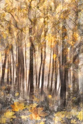 Bosque otoñal dorado
