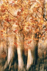 Bosque otoñal dorado difuminado