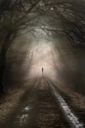 Una figura solitaria en un sendero brumoso