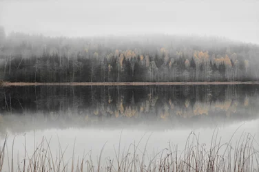 Lago otoñal envuelto en niebla