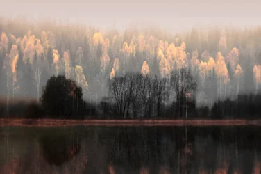 Reflejos brumosos de otoño