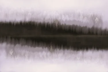 Reflejo de un abedul en la niebla