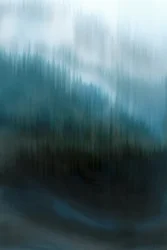 Bosque azul brumoso