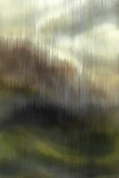 El Bosque de la Montaña Brumosa