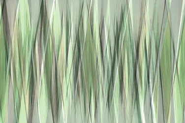 Hojas verdes serenas