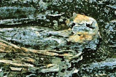 Capas de tierra con textura
