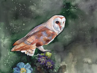 La lechuza común: flores nocturnas