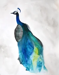Elegante pavo real azul