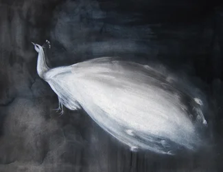 Etéreo pavo real blanco