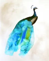 Pavo real fluido azul verdoso