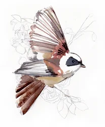 Pájaro volador en acuarela