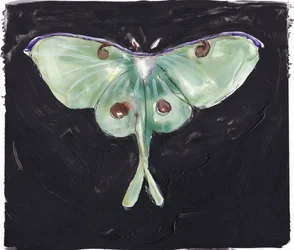 Polilla Luna Verde